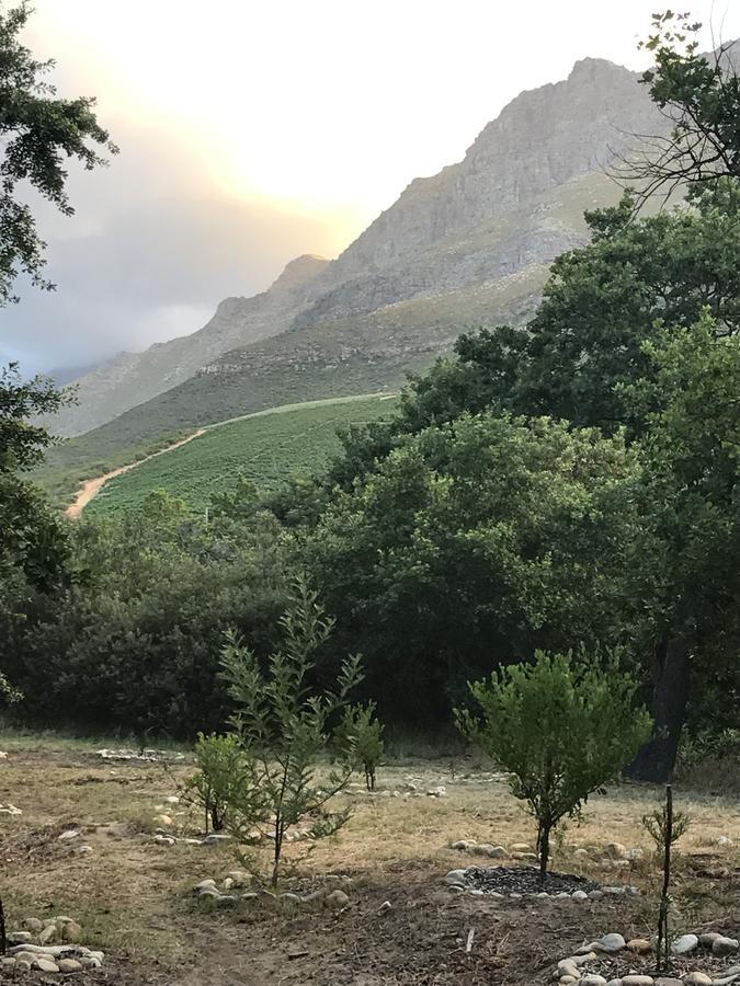 At Home In Mostertsdrift Stellenbosch Eksteriør billede